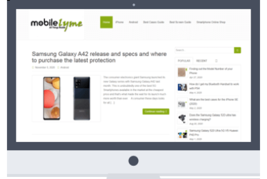 mobilelyme Mobile Lyme
