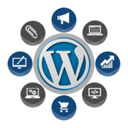 WordPress Web Development packages