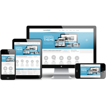 Wordpress Web Design Services London,UK  London